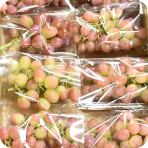 パッケージ部門（マル甲商事）